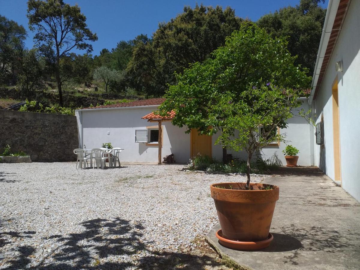 Affittacamere Quinta Da Barroquinha Vale de Prazeres Esterno foto
