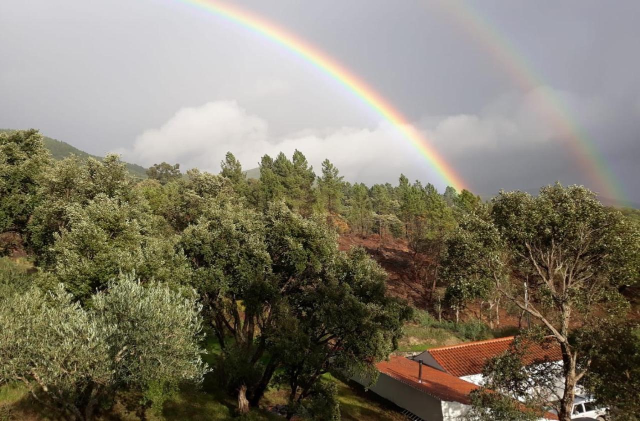 Affittacamere Quinta Da Barroquinha Vale de Prazeres Esterno foto