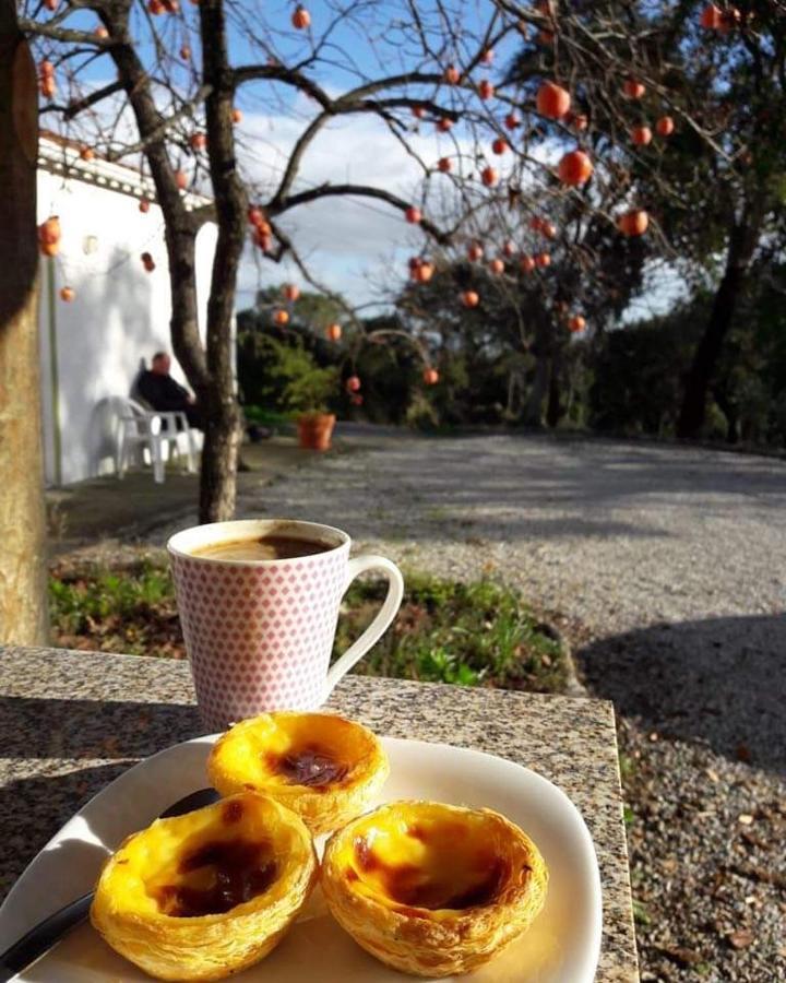 Affittacamere Quinta Da Barroquinha Vale de Prazeres Esterno foto