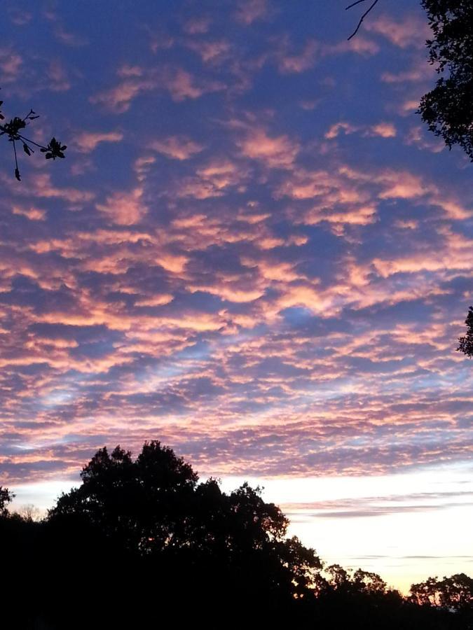 Affittacamere Quinta Da Barroquinha Vale de Prazeres Esterno foto