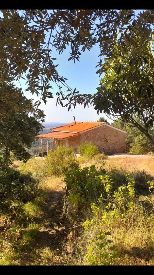Affittacamere Quinta Da Barroquinha Vale de Prazeres Esterno foto